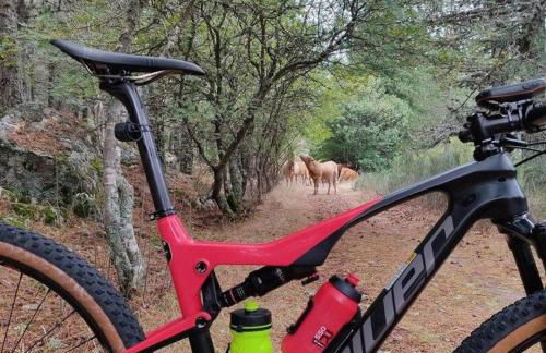 Rustic Terrace2 Bedrooms Farm House - Foto 24