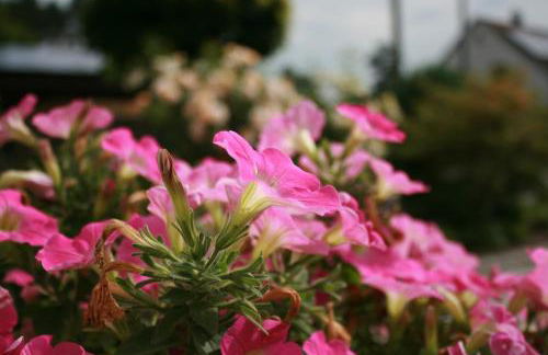 Ferienwohnung Maria - Foto 20