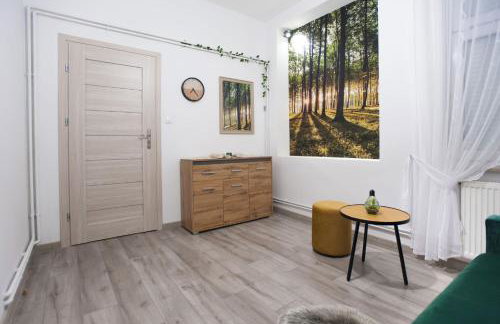 Apartamenty Pod Fortami - Foto 15