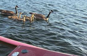 Newly Renovated Lakefront with Dock - Foto 35