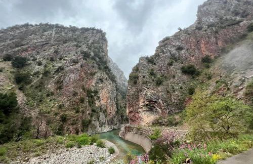 Χελιδόνα - Helidona - Foto 25