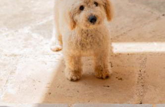 Dimora Soleda - Foto 66