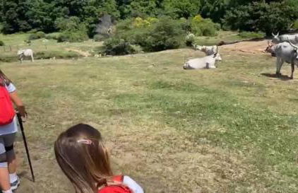 A Casa Nostra - Foto 9