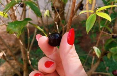 Chalé Canto dos Pássaros MG - Foto 9