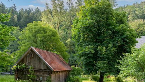 Ferienwohnungen Mittermurnthal - Foto 5, Garden