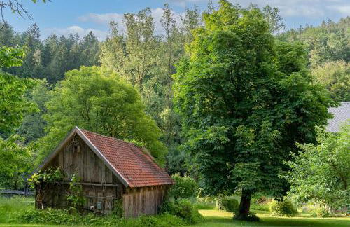Ferienwohnungen Mittermurnthal - Foto 5