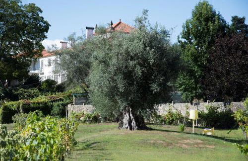 Casa dos Macieis - Entire Main House, Entire Guesthouse or Separate Wing of Main House - Camino Santiago direct access & Optional Agritourism - Foto 44