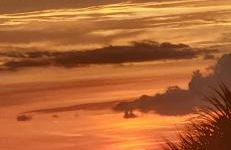 Sarasota Charm - Photo 39