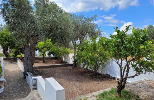 Studio Popi - Foto 17