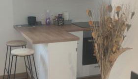 Appartement T2 Chic and White avec WIFI - Foto 4, stove, pet friendly, minibar