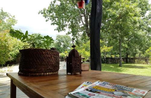 La Era de la Tía Donata - Foto 20