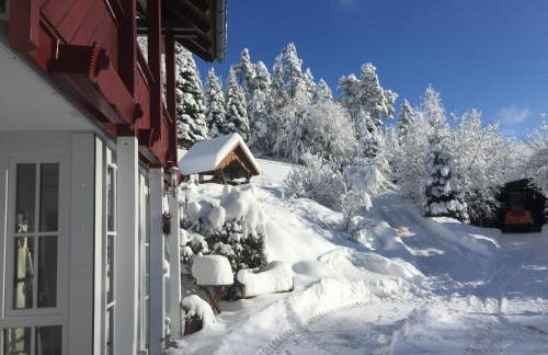 Alpaca-Village - Foto 35