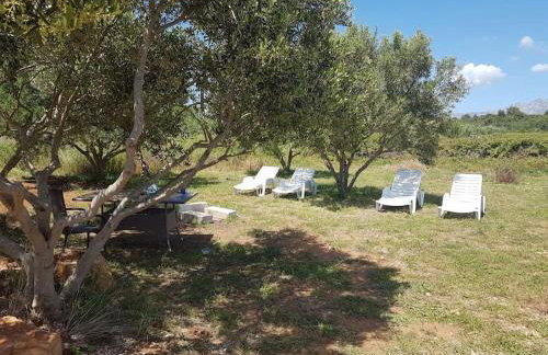 Villa Sucuraj - Foto 6