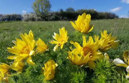 Viadrina Rooms & Apartments Frankfurt-Oder am Park im Zentrum - Foto 31