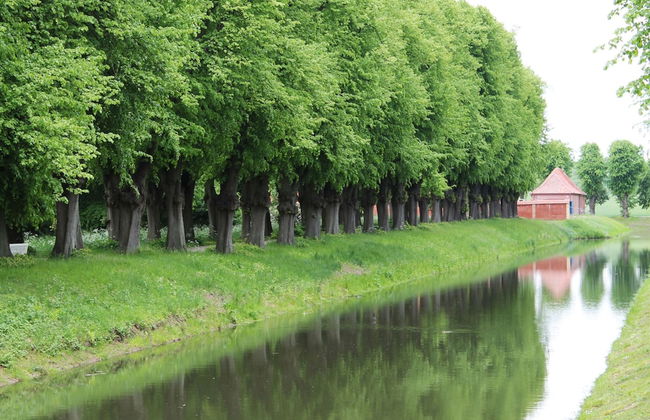 Ferienwohnung in Grundshagen mit Garten - Foto 16