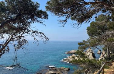 Studio Acapulco - Foto 8