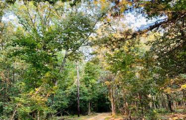 Sai Villa on Maurice River - Foto 52