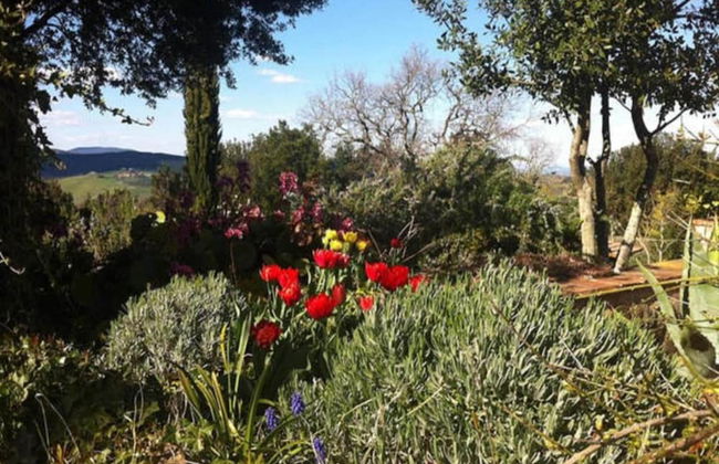 Tuscan Countryside Stay - Foto 41