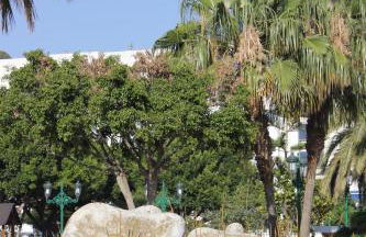 Mare Nostrum Beach El Palo Vistas al Mar Terraza ,Aparcamiento - Photo 64