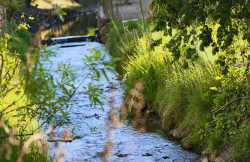 FEWOHOME Lothe Schieder Schwalenberg Schiedersee - Foto 30