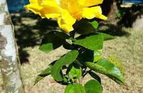 La Luciole Ecolodge - Foto 34