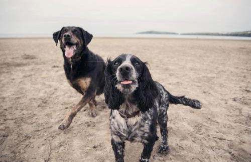 Lloft Gwair - Hayloft - Foto 17