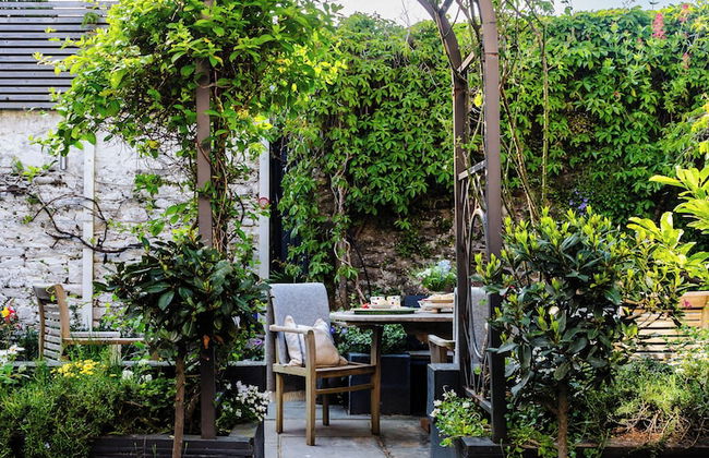 Blue Monkey - Foto 36