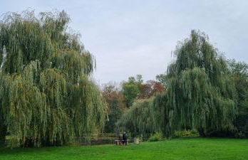 3Raumwohnung mit Balkon in Leipzig Nord BMW, Amazon, Messe & Porsche - Foto 49