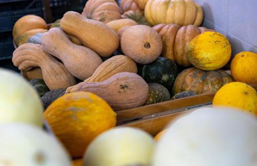 Bio Fattoria Mula D'Oro - biofattoriamuladoro it - Organic Food, Nature & Relax - Foto 42