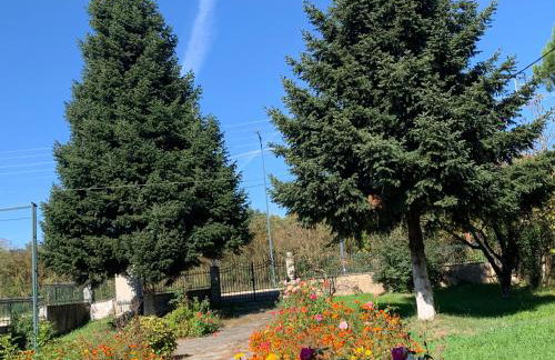 Aelias home - Foto 25