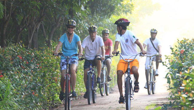 Eco-Adventure: Bike, Beach and Island Escape - Photo 4