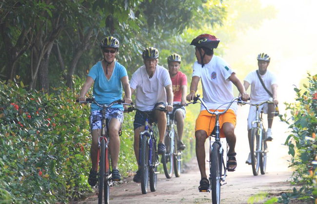 Eco-Adventure: Bike, Beach and Island Escape - Photo 4