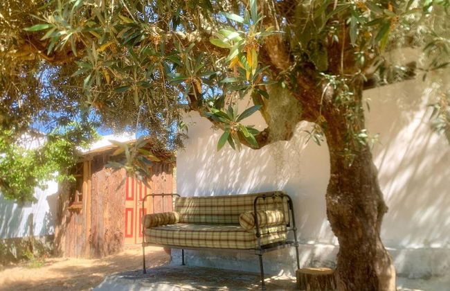 Casa Amador, Charming 2 Bedrooms House in Alcácer - Foto 25