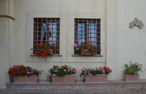 Tenuta Pizzogallo - Foto 52