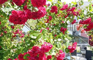 Weingut im Moselkrampen - Foto 25