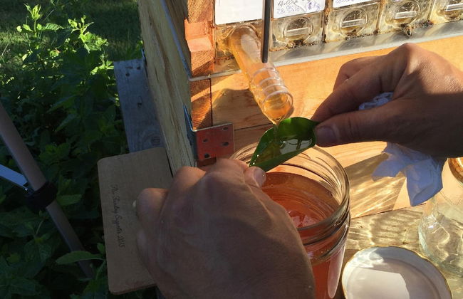 Casale Della Pergola Eco-friendly by the sea - Foto 39