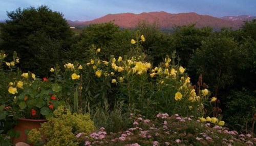 Jagdhaus Nantesbuch Comfortable holiday residence - Foto 5, Other