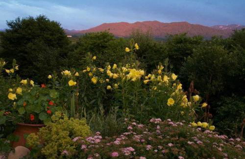 Jagdhaus Nantesbuch Comfortable holiday residence - Foto 5