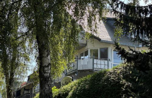 Kurpark-Blick Willingen - Foto 1