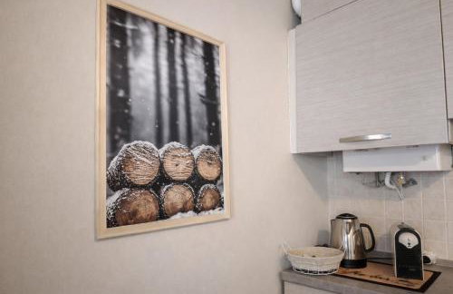 Antelao appartament Dolomiti piano terra - Foto 8