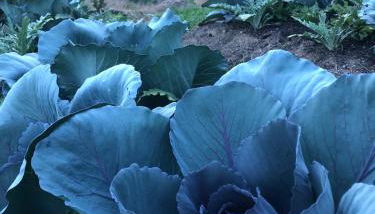 Historic Converted Barn Loft at Sobremesa Farm - Foto 4