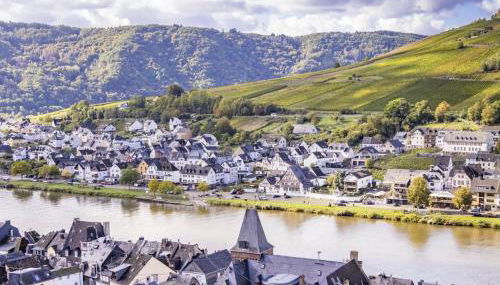 Apartment in Zell an der Mosel - Photo 4