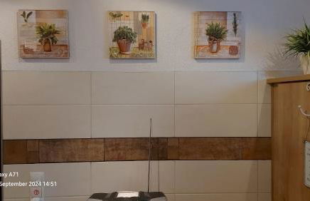 Pfalz-Apartment Mein Chalet - Einzigartig in Großkarlbach - Foto 19