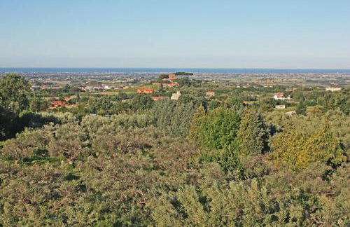 Villa Stauder - Foto 16