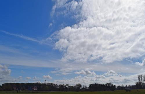 Ferien unterm Reetdach bis zu 6 Personen - Photo 36