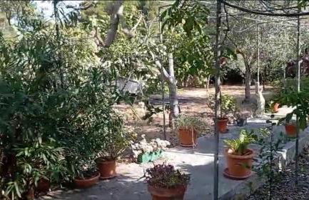 Casa vacanze Il Carrubo - Foto 30