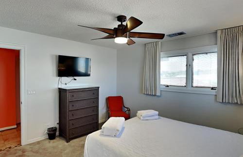 Lion On The Beach - Photo 12