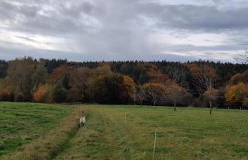 Appartemt Indépendant- Paysage Verdoyant- Piscine - Foto 14