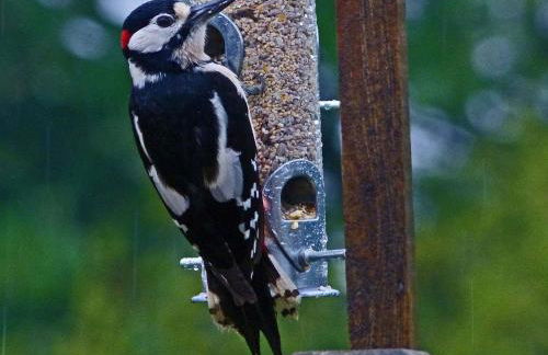 Shropshire Lodges - Romantic Luxury Hot Tub Breaks - Foto 60