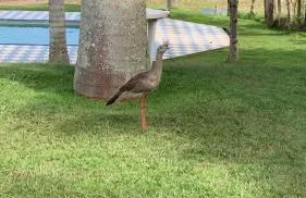 Sítio frente à Barragem - Foto 32